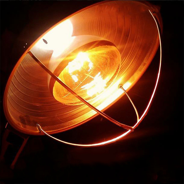 لامپ های مادون قرمز