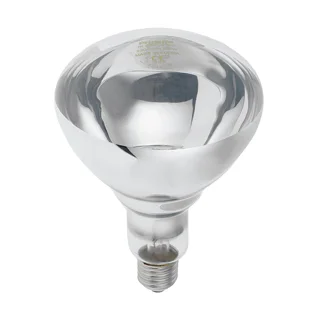 قیمت و خرید لامپ مادون قرمز (InfraRed) 2۵۰ وات فیلیپس (PHILIPS) مدل شیشه ساده پایه معمولی (E27)