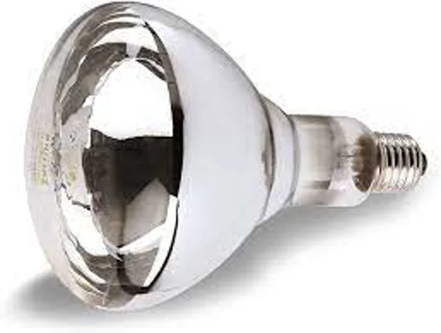 قیمت و خرید لامپ مادون قرمز (InfraRed) 2۵۰ وات فیلیپس (PHILIPS) مدل شیشه ساده پایه معمولی (E27)