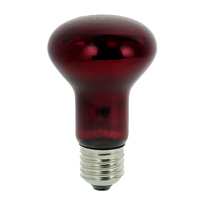 لامپ مادون قرمز 100 وات نوموی پت (NOMOY PET) مدل Infrared Heating Lamp کد ND-21 پایه معمولی (E27)